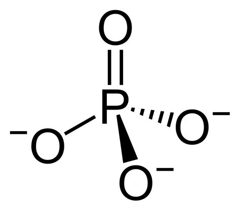 Molekul Fosfat